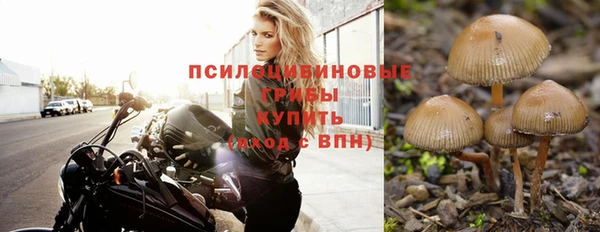 не бодяженный Алзамай