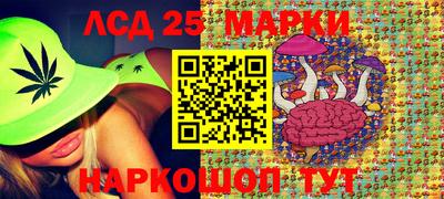 прущие грибы Анапа