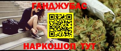 прущие грибы Анапа