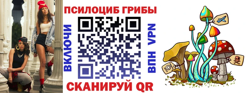 где купить наркоту  Раменское  Псилоцибиновые грибы Psilocybe 