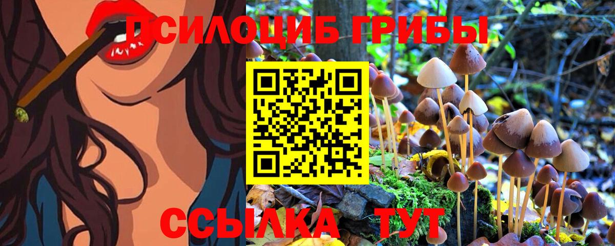 Галлюциногенные грибы Psilocybine cubensis Раменское